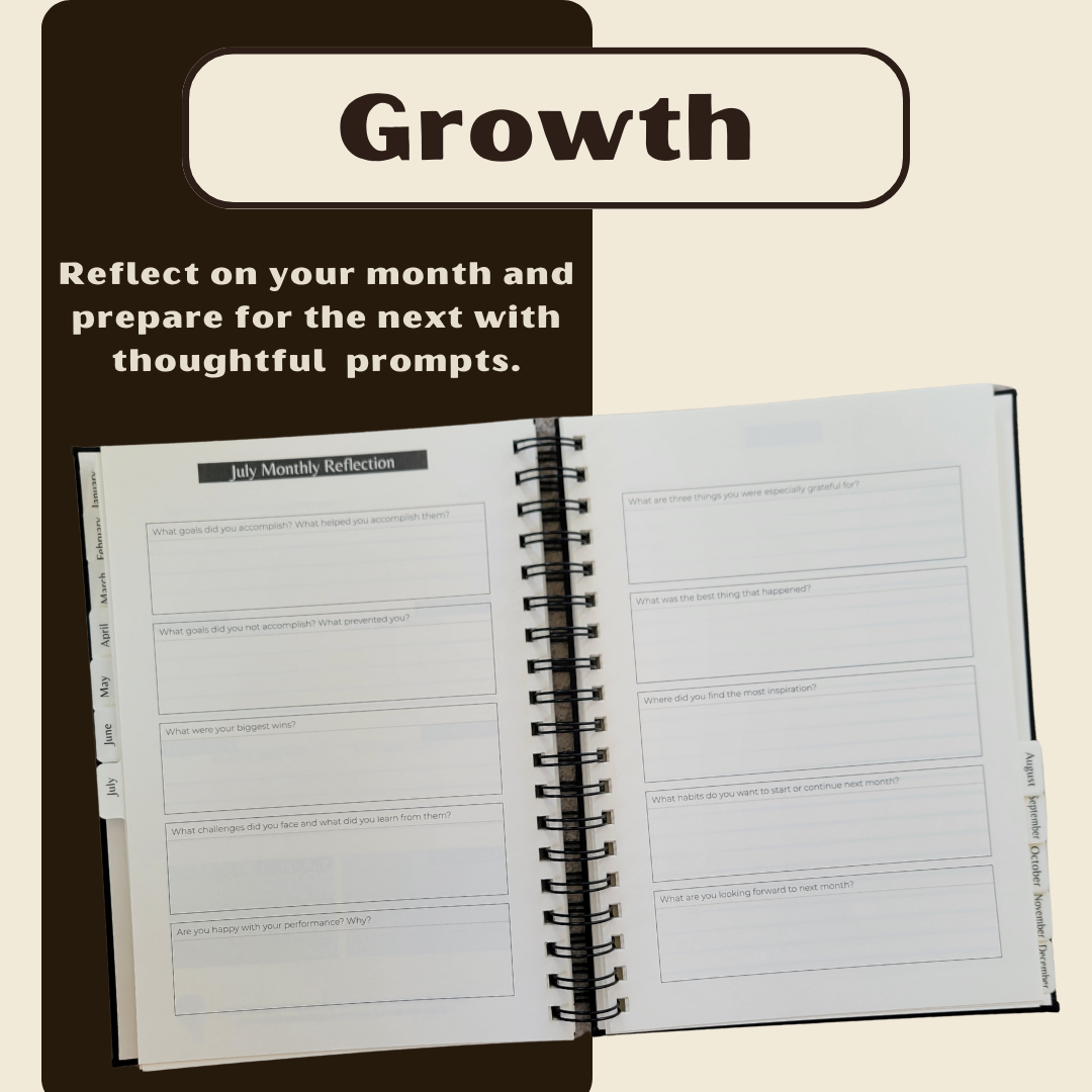 Digital Download: the Professional planner - 2025